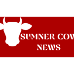 sumner cow news